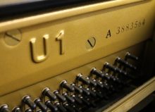 מציאת גיל פסנתר לפי מספר סידורי