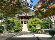 פסנתרים תוצרת קוריאה