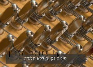 פינים נקיים