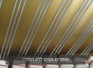 מיתרים נקיים