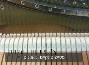 פטישים