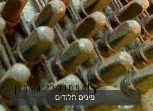פינים חלודים