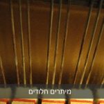 rusty strings