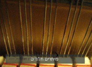 מיתרים חלודים