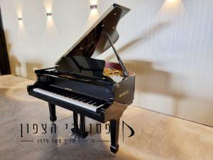 פסנתר כנף בייבי שחור