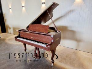 פסנתר כנף בייבי חום