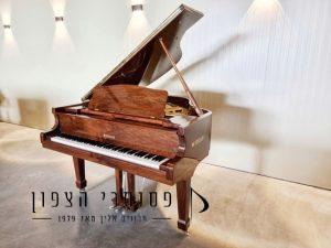 פסנתר כנף חום קטן SENDLER