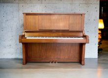 פסנתר YAMAHA W101