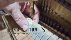 Voicing | פסנתרי הצפון
