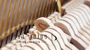 פטישי הפסנתר