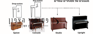 מנגנונים של פסנתרים קטנים
