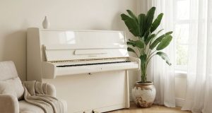 פסנתר גרמני Bluthner piano