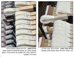 מצב פטישים