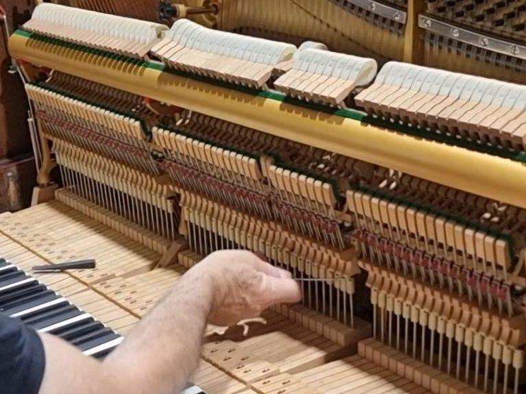 רגולציה לפסנתר